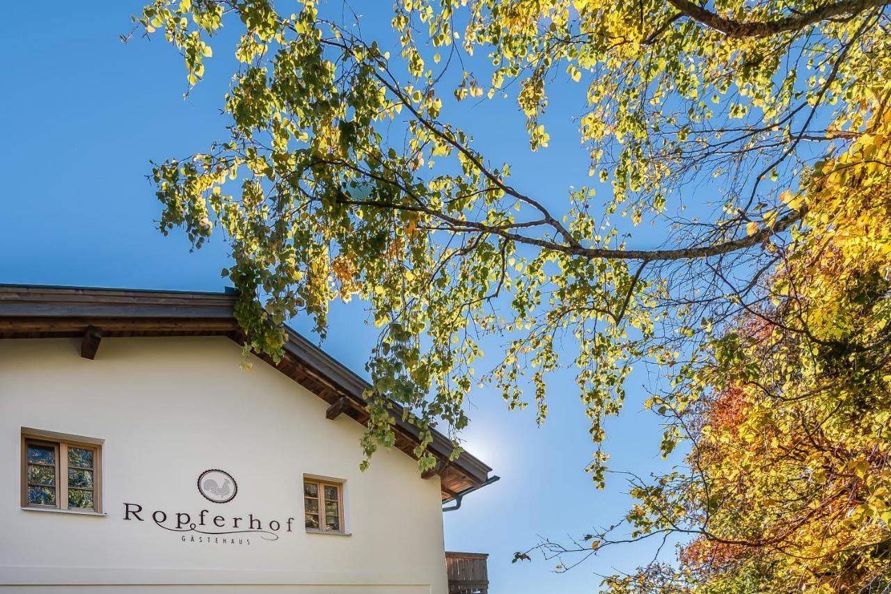 부첸 Ropferhof 아파트 외부 사진